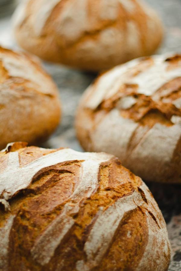 Kai 36 - Hotel Zwischen Fels Und Fluss Graz Zewnętrze zdjęcie Bread